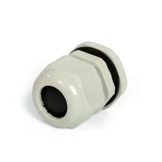 1xbet download 2024 
