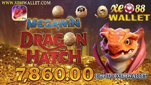 850 bet app 