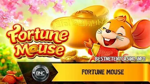 bets cassino online 