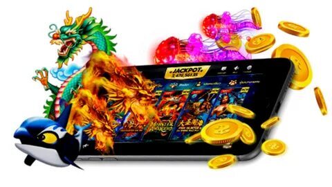 horario pagante dragon hatch 2 
