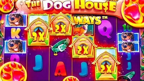 resultado do jogo do bicho coruja de hoje 