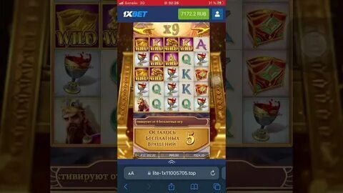 suporte ao vivo kto 